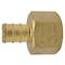 Apollo 1/2 in. Brass PEX Barb x 1/2 in. Female Pipe Thread Adapter (5-Pack), 5PK APXFA12125PK - alternate 3